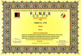 伊朗金奖/德国特别奖 (2013)