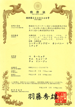構造的なマルチパターン透かし生成装置及び方法と、これを用いた透かし埋め込み装置及び方法、並びに透か し検出装置及び方法