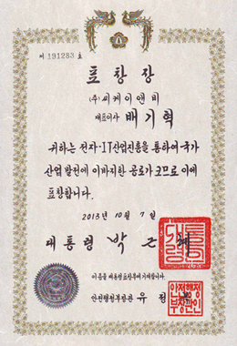 电子信息通讯产业振兴院 (2013)