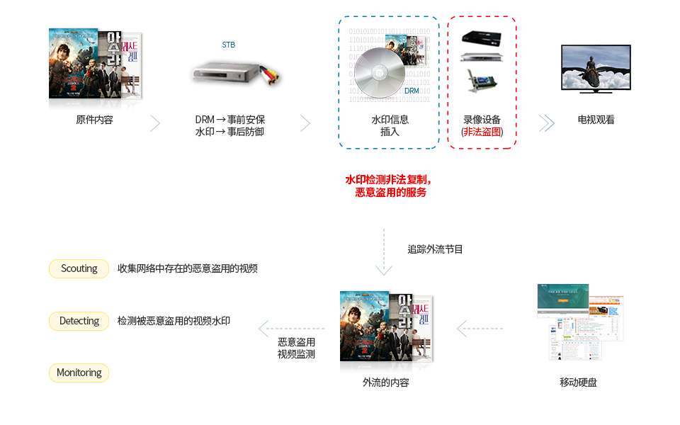 原件内容 > DRM:事前安保 水印:事后防御 > 水印信息插入 - 水印检测非法复制，恶意盗用的服务 > 录像设备(非法盗图) > 电视观看