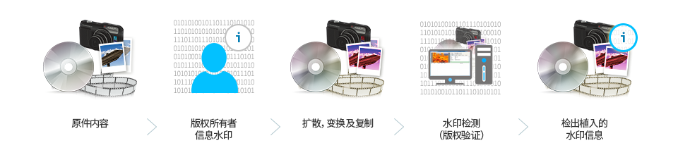 原件内容 > 版权所有者信息水印 > 扩散，变换及复制 > 水印检测（版权验证） > 检出植入的水印信息