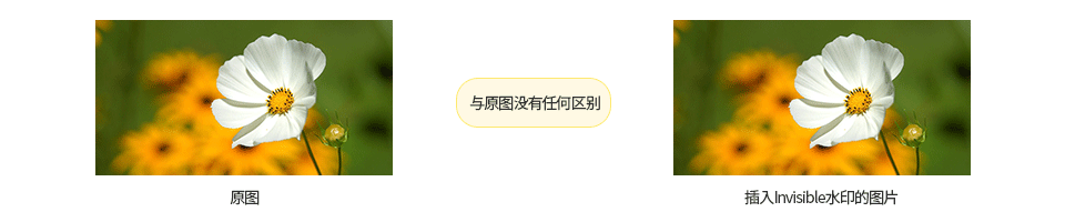 插入Invisible水印的图片 = 与原图没有任何区别
